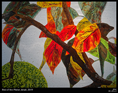 bois d'arc platter detail