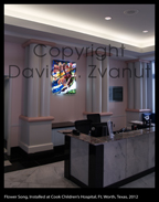 Flower Song Installed